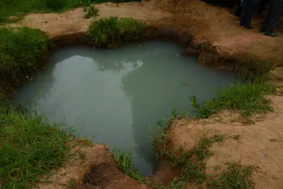 DSC_9482 (Large).JPG